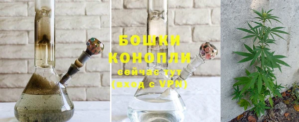 тгк Бронницы
